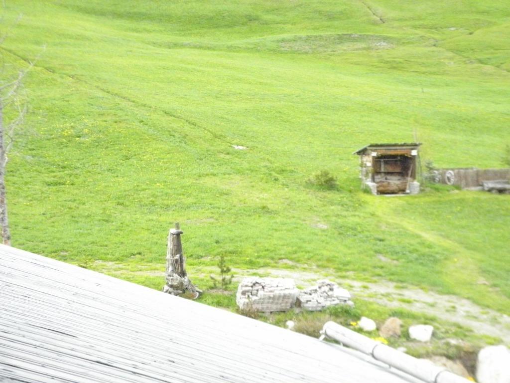 Mountain Chalet Milly Livigno Kültér fotó